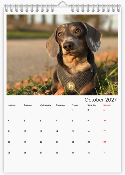 Wall Calendars - Template ID 13